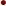 ·